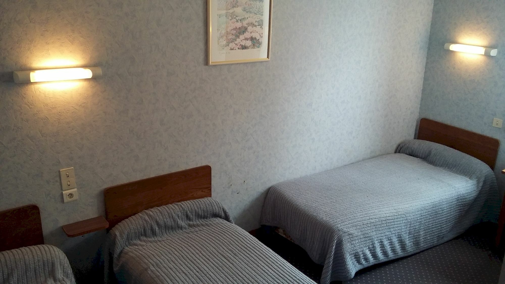 Hotel Du Viscos Lourdes Eksteriør billede